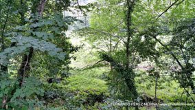 Ferreria de Cades, Cades, Cantabría, España