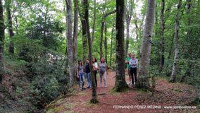 Ferreria de Cades, Cades, Cantabría, España