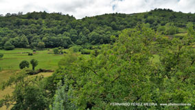 Valles Altos del Nansa y Saja y Alto Campoo, Cantabria, España