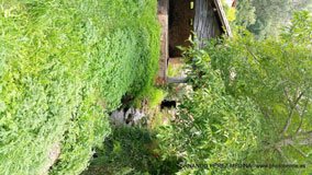 Valles Altos del Nansa y Saja y Alto Campoo, Cantabria, España
