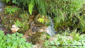 Valles Altos del Nansa y Saja y Alto Campoo, Cantabria, España