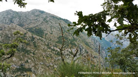 Mirador de La Reina, Asturias, España
