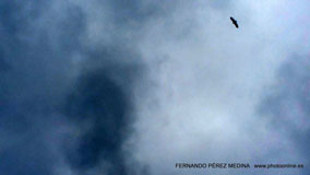 Mirador de La Reina, Asturias, España