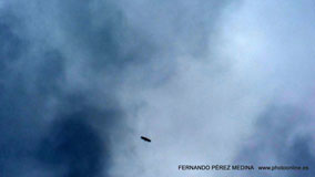 Mirador de La Reina, Asturias, España