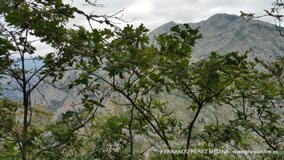 Mirador de La Reina, Asturias, España