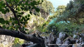 Cuevas del Pindal, Asturias, España