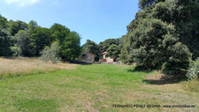 Cuevas del Pindal, Asturias, España