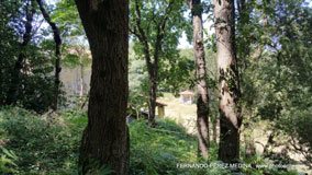 Cuevas del Pindal, Asturias, España