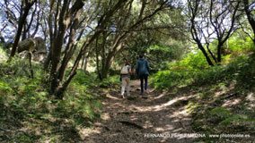 Cuevas del Pindal, Asturias, España