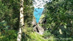 Cuevas del Pindal, Asturias, España