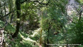 Cuevas del Pindal, Asturias, España