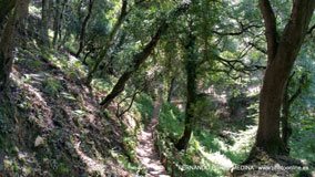 Cuevas del Pindal, Asturias, España