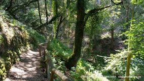 Cuevas del Pindal, Asturias, España
