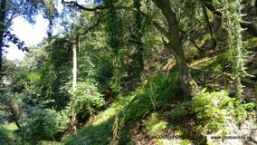 Cuevas del Pindal, Asturias, España