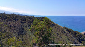 Mirador Del Picu, Camino Fimango Alfaro, Pimiango, Asturias, España