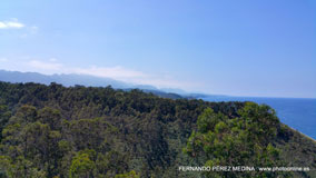 Mirador Del Picu, Camino Fimango Alfaro, Pimiango, Asturias, España