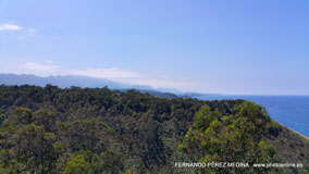 Mirador Del Picu, Camino Fimango Alfaro, Pimiango, Asturias, España