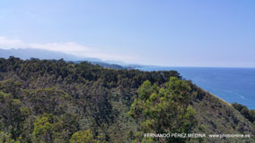 Mirador Del Picu, Camino Fimango Alfaro, Pimiango, Asturias, España