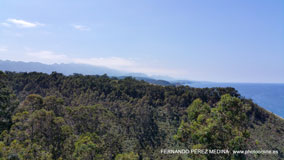 Mirador Del Picu, Camino Fimango Alfaro, Pimiango, Asturias, España