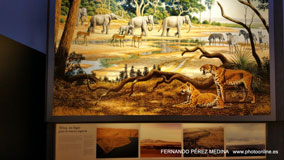 Museo Nacional y Centro de Investigación de Altamira, Santillana del Mar, Cantabria, España