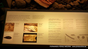 Museo Nacional y Centro de Investigación de Altamira, Santillana del Mar, Cantabria, España