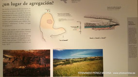 Museo Nacional y Centro de Investigación de Altamira, Santillana del Mar, Cantabria, España