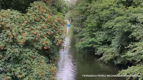 Hamburgo, Alemania