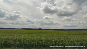 Hamburgo, Alemania