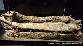 Neues Museum, Berlín, Alemania