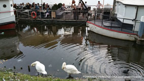 Hamburgo, Alemania
