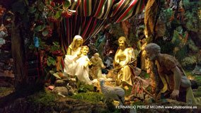 Calle Rey Francisco, 19, 28008 Madrid