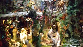 Calle Rey Francisco, 19, 28008 Madrid